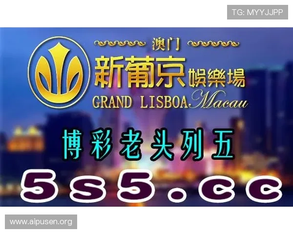 新葡京娱乐城网址导航2026年最全最可靠的登录入口介绍