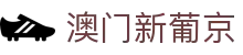 澳门新葡京品牌首页，覆盖葡京网站与网页访问入口